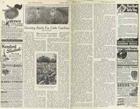Better Homes & Gardens January 1923 Magazine Article: Growing Seeds For Little Gardens