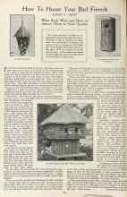Better Homes & Gardens February 1923 Magazine Article: How To House Your Bird Friends