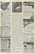 Better Homes & Gardens February 1923 Magazine Article: Our Friend the Toad