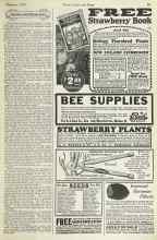 Better Homes & Gardens February 1923 Magazine Article: PRUNING AND SPRAYING GUIDE