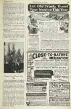 Better Homes & Gardens February 1923 Magazine Article: Tomato Vines Sixteen Feet High