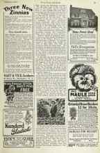 Better Homes & Gardens February 1923 Magazine Article: In the above illustration is shown how a Los Angeles, Calif., man raises cucumbers after the manner of grapes...