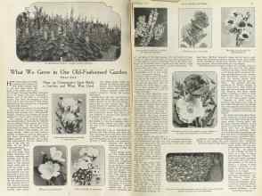 Better Homes & Gardens February 1923 Magazine Article: What We Grow in Our Old-Fashioned Garden