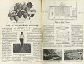 Better Homes & Gardens February 1923 Magazine Article: Page 16