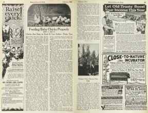 Better Homes & Gardens February 1923 Magazine Article: Feeding Baby Chicks Properly