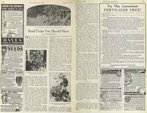 Better Homes & Gardens February 1923 Magazine Article: Small Fruits You Should Have