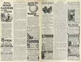 Better Homes & Gardens February 1923 Magazine Article: Page 44