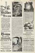 Better Homes & Gardens March 1923 Magazine Article: All in a Backyard Garden