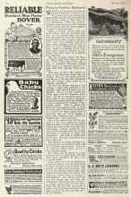 Better Homes & Gardens March 1923 Magazine Article: Plums for Fruitless Backyards