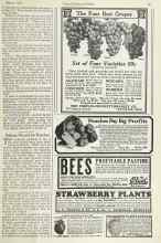 Better Homes & Gardens March 1923 Magazine Article: Sodium Fluorid for Roaches