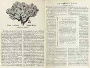 Better Homes & Gardens March 1923 Magazine Article: Page 12