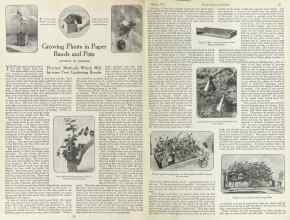 Better Homes & Gardens March 1923 Magazine Article: Growing Plants in Paper Bands and Pots