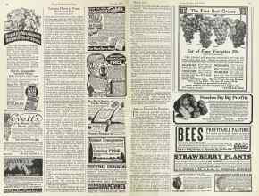 Better Homes & Gardens March 1923 Magazine Article: Page 46