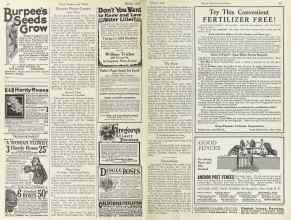 Better Homes & Gardens March 1923 Magazine Article: Favorite Flower Contest