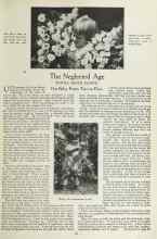 Better Homes & Gardens April 1923 Magazine Article: The Neglected Age