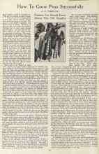 Better Homes & Gardens April 1923 Magazine Article: How To Grow Peas Successfully