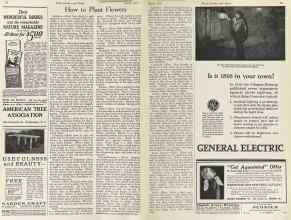 Better Homes & Gardens April 1923 Magazine Article: How to Plant Flowers