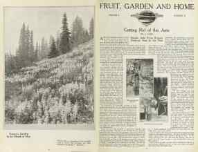 Better Homes & Gardens May 1923 Magazine Article: Page 4