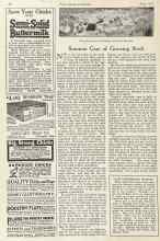 Better Homes & Gardens June 1923 Magazine Article: Summer Care of Growing Stock