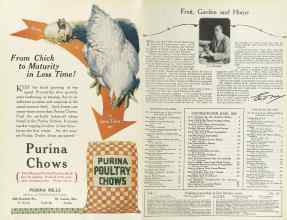 Better Homes & Gardens June 1923 Magazine Article: Page 2