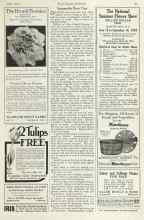 Better Homes & Gardens July 1923 Magazine Article: Seasonable Rose Tips