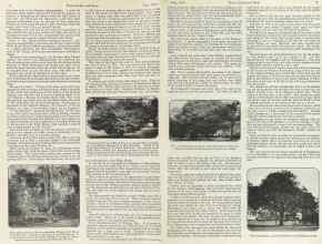 Better Homes & Gardens July 1923 Magazine Article: Page 6