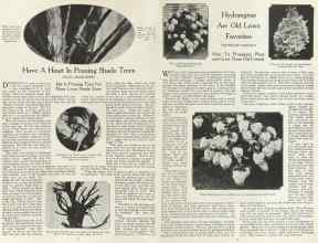 Better Homes & Gardens July 1923 Magazine Article: Page 8