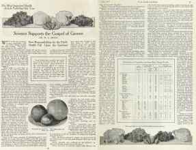 Better Homes & Gardens July 1923 Magazine Article: Science Supports the Gospel of Greens