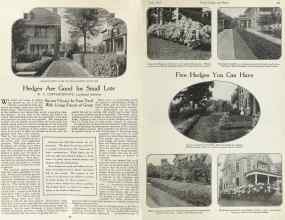 Better Homes & Gardens July 1923 Magazine Article: Hedges Are Good for Small Lots