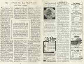 Better Homes & Gardens July 1923 Magazine Article: Page 40