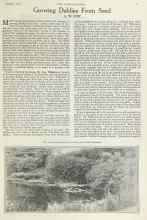 Better Homes & Gardens August 1923 Magazine Article: Growing Dahlias From Seed