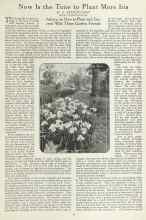 Better Homes & Gardens August 1923 Magazine Article: Now Is the Time to Plant More Iris