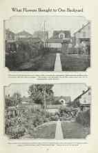 Better Homes & Gardens August 1923 Magazine Article: What Flowers Brought to One Backyard