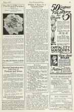 Better Homes & Gardens August 1923 Magazine Article: Spanish Omelet