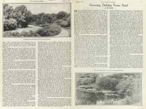 Better Homes & Gardens August 1923 Magazine Article: Page 6
