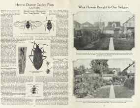 Better Homes & Gardens August 1923 Magazine Article: Page 16