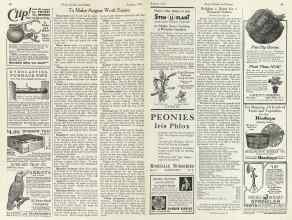 Better Homes & Gardens August 1923 Magazine Article: Page 40