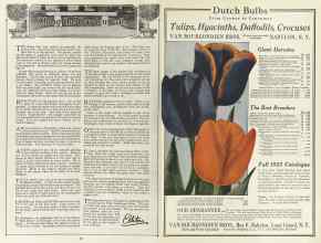 Better Homes & Gardens August 1923 Magazine Article: Page 50