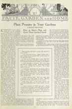 Better Homes & Gardens September 1923 Magazine Article: Plant Peonies in Your Gardens