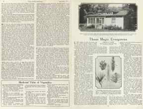 Better Homes & Gardens September 1923 Magazine Article: Page 10