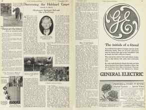Better Homes & Gardens September 1923 Magazine Article: Discovering the Hubbard Grape