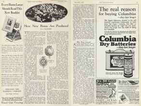 Better Homes & Gardens September 1923 Magazine Article: How New Roses Are Produced