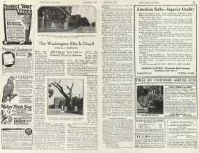 Better Homes & Gardens September 1923 Magazine Article: The Washington Elm Is Dead!