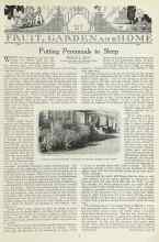Better Homes & Gardens October 1923 Magazine Article: Putting Perennials to Sleep