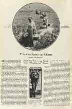 Better Homes & Gardens November 1923 Magazine Article: The Cranberry at Home