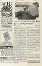 Better Homes & Gardens November 1923 Magazine Article: How to Transplant Large Trees
