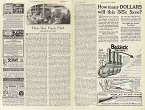 Better Homes & Gardens November 1923 Magazine Article: How Our Flock Paid