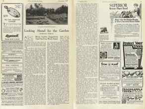 Better Homes & Gardens November 1923 Magazine Article: Looking Ahead for the Garden