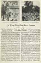 Better Homes & Gardens December 1923 Magazine Article: How Water Lilies Grew Into a Business