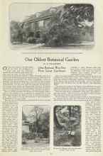 Better Homes & Gardens December 1923 Magazine Article: Our Oldest Botanical Garden